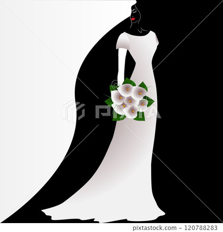 Illustration of beauty black and white background with bride with a bouquet of flowers. 120788283