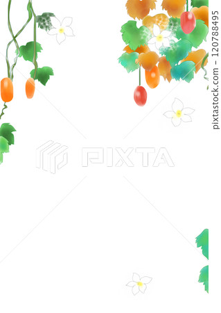 魷魚花果卡1 魷魚花果卡1 120788495