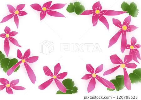 大寫字母草花卡2 120788523