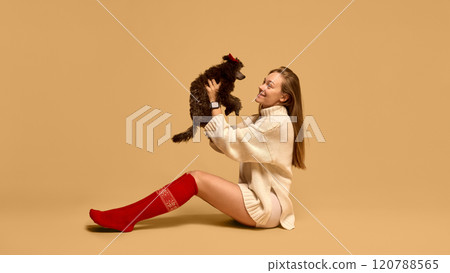 Young woman wearing knitted sweater and red sox, posing with adorable black poodle dog with bow accessory saint studio background 120788565