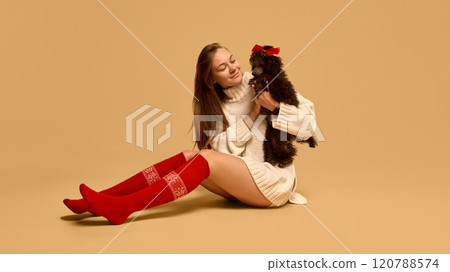 Young woman wearing knitted sweater and red sox, posing with adorable black poodle dog with bow accessory saint studio background Young woman wearing knitted sweater and red sox, posing with adorable black poodle dog with bow accessory saint studio background 120788574