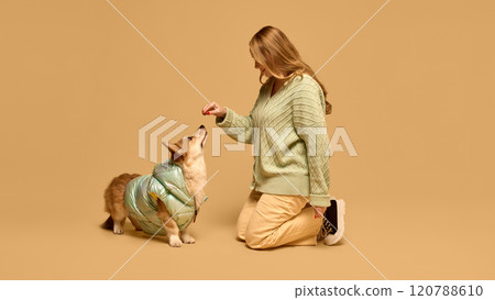 Young blonde woman wearing mint color warm cardigan, standing on knees and feeding Corgi dog, wearing matching color jacket. Young blonde woman wearing mint color warm cardigan, standing on knees and feeding Corgi dog, wearing matching color jacket. 120788610