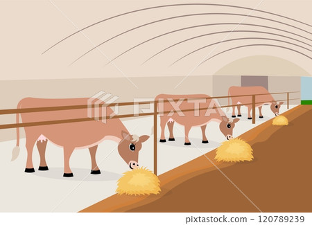 Farm Animals. Cute farm. Cows eat hay inside a barn in a farmyard. Collection of farm animals in a barnyard. Farm Animals. Cute farm. Cows eat hay inside a barn in a farmyard. Collection of farm animals in a barnyard. 120789239
