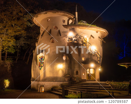 Akebono Children's Forest Park Autumn Light-up Akebono Children's Forest Park Autumn Light-up 120789387
