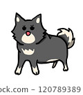 It's not a bean, it's a Shiba 120789389