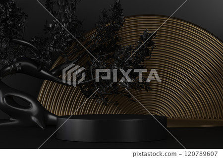 Fashion product background and stand black podium display with blank backdrops. 120789607