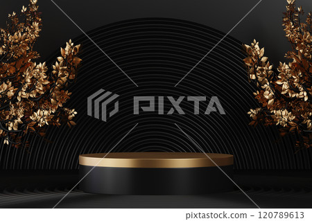 Fashion product background and stand black podium display with blank backdrops. Fashion product background and stand black podium display with blank backdrops. 120789613