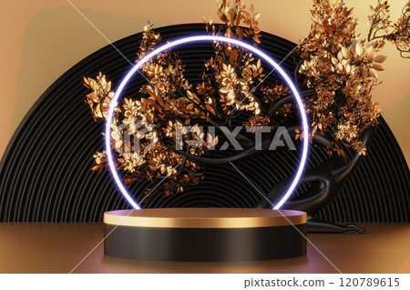 Fashion product background and stand black podium display with blank backdrops. 120789615