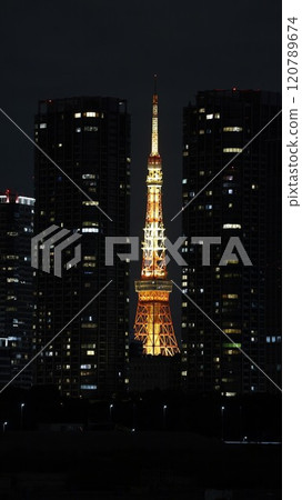 Illuminated Tokyo Tower seen between skyscrapers Illuminated Tokyo Tower seen between skyscrapers 120789674