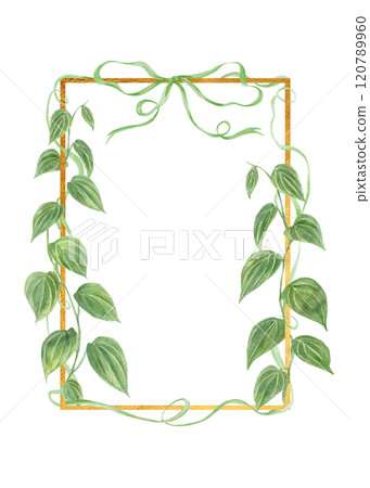Green climbing leaf branches vertical golden frame with intertwining ribbons and bow. Pepper plant watercolor floral illustration. Copy space for text. Celebrate border for greeting cards 120789960