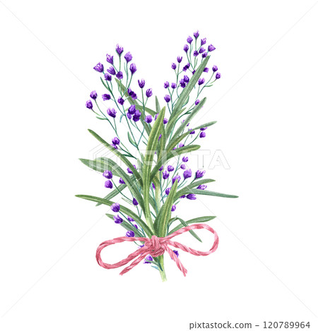 Meadow blooming blue, purple flowers with rosemary leaves and pink jute bow bouquet watercolor illustration. Spring, summer herbs, plants for wedding, birthday greeting card design, package decor 120789964