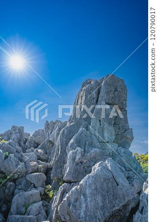 Scenery of Tatsusu in Hamamatsu City (Shizuoka Prefecture) Scenery of Tatsusu in Hamamatsu City (Shizuoka Prefecture) 120790017