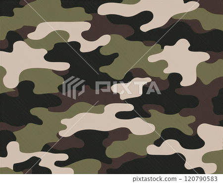 Camouflage texture 120790583