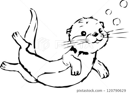 Line drawing of an otter. Line drawing of an otter. 120790629