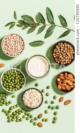 Plant-based Milk with Various Grains and Seeds Plant-based Milk with Various Grains and Seeds 120790980