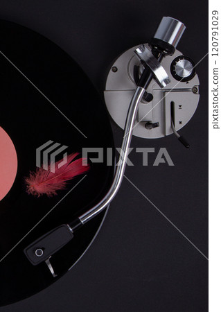 Vinyl record player with red feather 120791029