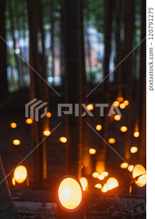 Ogikujo Castle Site Citizens' Forest Bamboo Lantern Festival 2024 Ogikujo Castle Site Citizens' Forest Bamboo Lantern Festival 2024 120791275