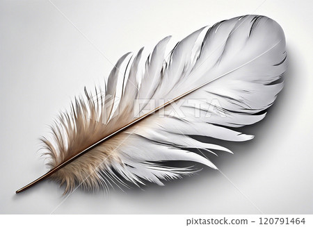 White feather - Generative AI 120791464