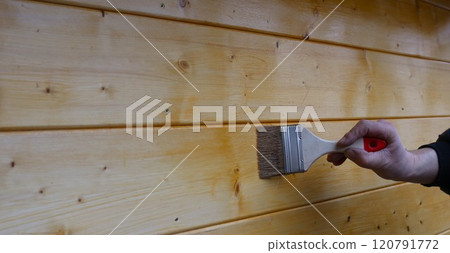 a hand in dark clothes with a brush varnishes a wooden plank surface of a wall of an outbuilding or barn, varnishing a wall made of light wooden boards 120791772