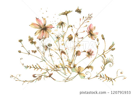 Field, meadow, wild flowers and herbs clover, cosmos, chamomile and bumblebee. Watercolor illustration hand drawn in beige, brown and ocher colors. Bouquet isolated from the background Field, meadow, wild flowers and herbs clover, cosmos, chamomile and bumblebee. Watercolor illustration hand drawn in beige, brown and ocher colors. Bouquet isolated from the background 120791933
