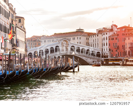 Rialto Bridge and Gondolas in Venice Rialto Bridge and Gondolas in Venice 120791957