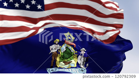 Maine state flags and the American flag waving in the wind on a clear day 120792309