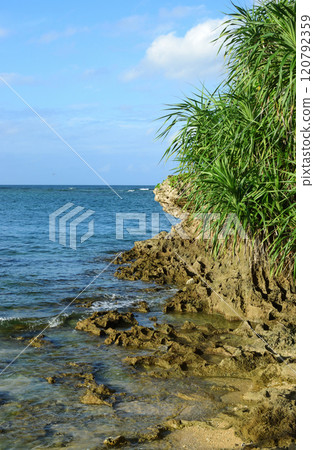 浦添/Karmy G週邊 浦添/Karmy G週邊 120792359
