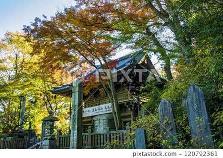 高尾山、高尾山藥王院、表參道、三門、11月下旬 高尾山、高尾山藥王院、表參道、三門、11月下旬 120792361