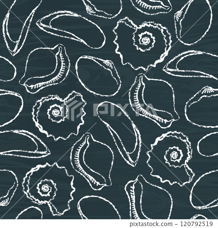 Seamless pattern with sea shells Seamless pattern with sea shells 120792519