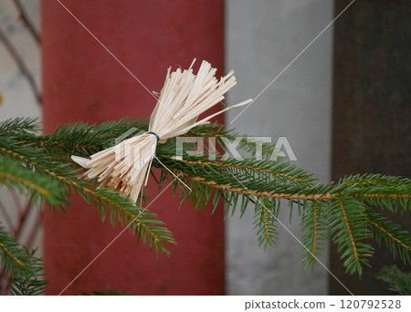 Christmas tree, decorated with straw and bows - traditional ornamentation style in Czech Republic 120792528