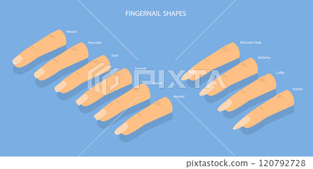 3D Isometric Flat Vector Set of Different Shapes of Fingernails, Iinds of Nails 120792728