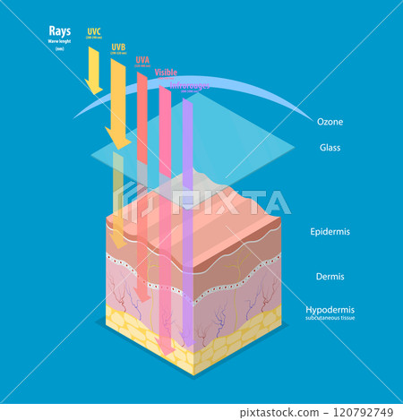 3D Isometric Flat Vector Illustration of Damage UV Radiation to Human Skin, Skincare and Beauty 3D Isometric Flat Vector Illustration of Damage UV Radiation to Human Skin, Skincare and Beauty 120792749