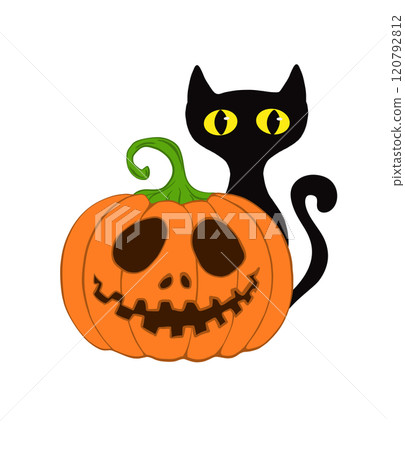 Black Cat and Halloween Pumpkin Illustration 120792812
