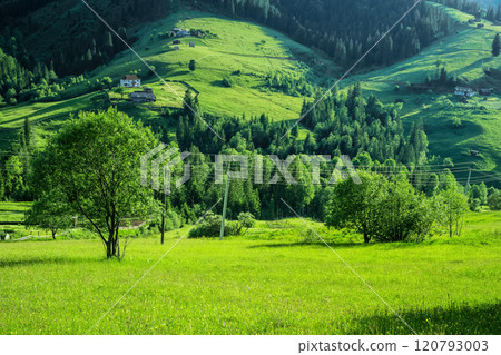 beautiful summer monntain landscape beautiful summer monntain landscape 120793003