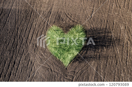 Trees forming heart on agricultural field 120793089