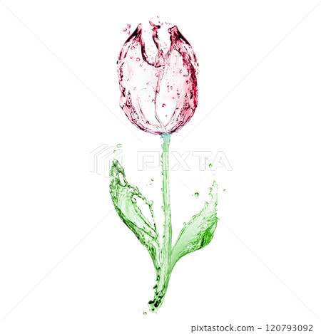 Colorful tulip made of water Colorful tulip made of water 120793092