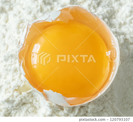 White egg and egg yolk 120793107