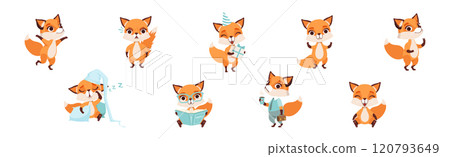 Cute Fox Character with Bushy Tail and Pretty Snout Vector Set 120793649
