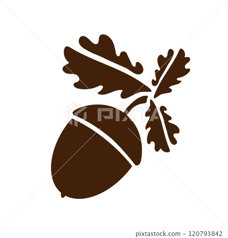 Acorn icon isolated. Vector art leaves and fruits. Acorn icon isolated. Vector art leaves and fruits. 120793842