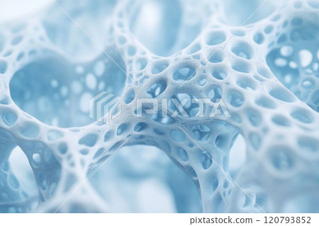 Bone tissue image_1 120793852