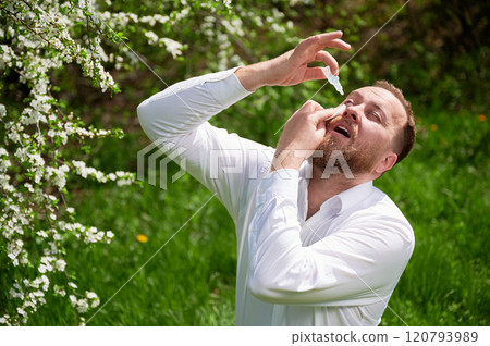 Man allergic using medical eyes drops, suffering from seasonal allergy at spring in blossoming garden. Handsome man treating eyes in front of blooming tree outdoors. Spring allergy concept. Man allergic using medical eyes drops, suffering from seasonal allergy at spring in blossoming garden. Handsome man treating eyes in front of blooming tree outdoors. Spring allergy concept. 120793989
