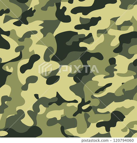 Camouflage Vector Flat Icon 120794060