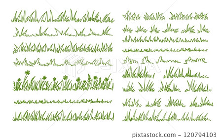 Sketch grass. Doodle grassy plants. Hand drawn outline silhouette wild herb field border. Springs garden lawn, flower grasses bush. Vector meadow pattern set 120794103