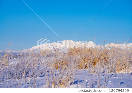 [冬季山素材]冬季從霧峰可見白雪皚皚的北阿爾卑斯山[長野縣] 120794299