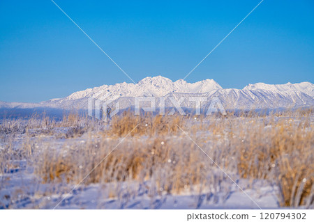 [Winter mountain materials] Snow-capped Northern Alps seen from Kirigamine in winter [Nagano Prefecture] 120794302