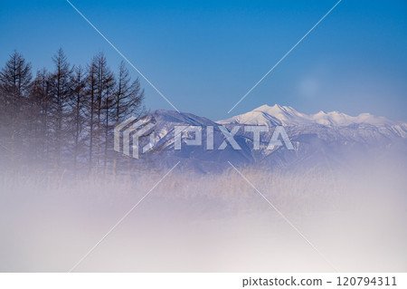[Winter mountain materials] Snow-capped Northern Alps seen from Kirigamine in winter [Nagano Prefecture] 120794311