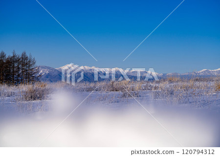 [冬季山素材]冬季從霧峰可見白雪皚皚的北阿爾卑斯山[長野縣] 120794312