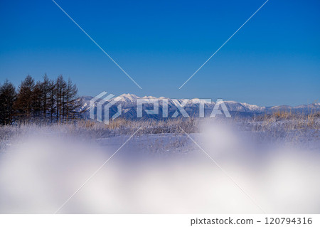 [Winter mountain materials] Snow-capped Northern Alps seen from Kirigamine in winter [Nagano Prefecture] 120794316