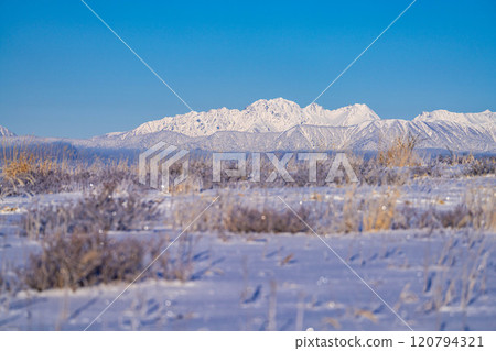[冬季山素材]冬季從霧峰可見白雪皚皚的北阿爾卑斯山[長野縣] 120794321