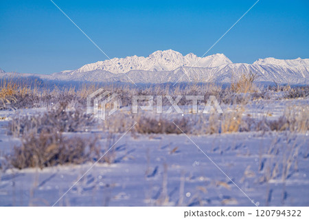 [冬季山素材]冬季從霧峰可見白雪皚皚的北阿爾卑斯山[長野縣] 120794322